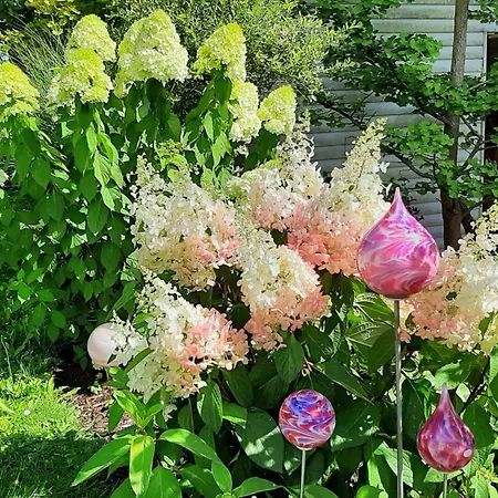 Madeleine Apartamento