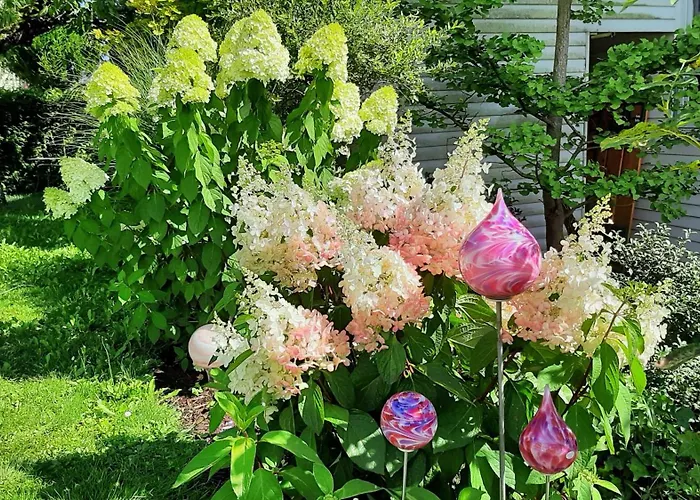 Madeleine Апартаменты